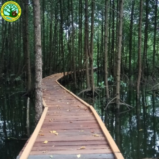 Taman Nasional Kutai