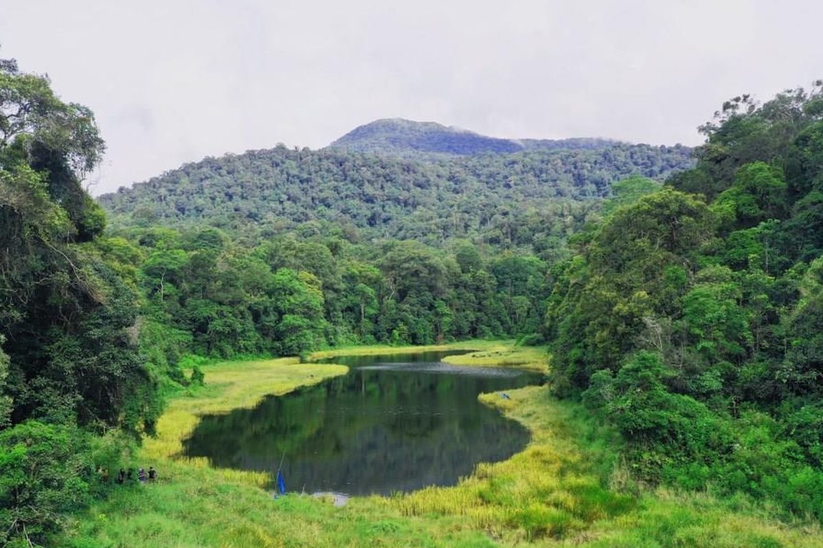 Taman Nasional