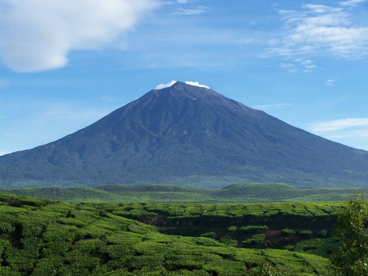 Taman Nasional