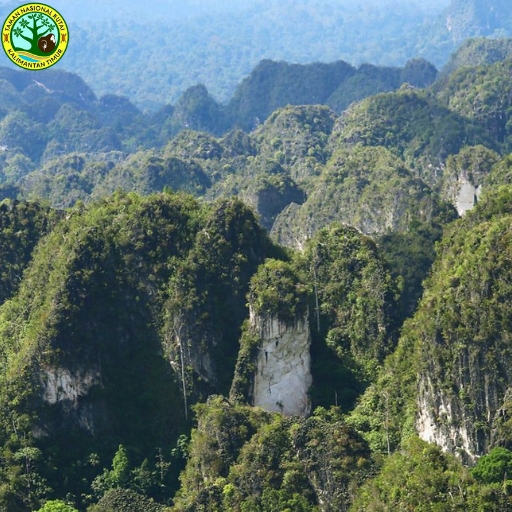 Taman Nasional