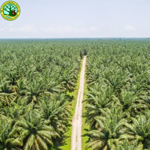 Taman Nasional Kutai