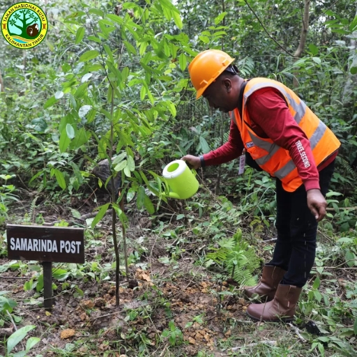 Taman Nasional