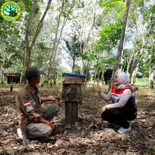 Taman Nasional