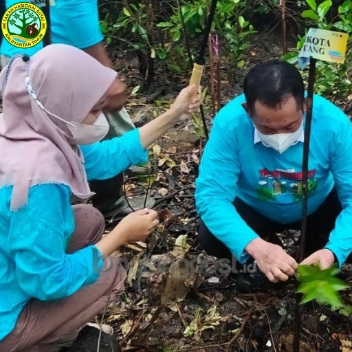 Taman Nasional