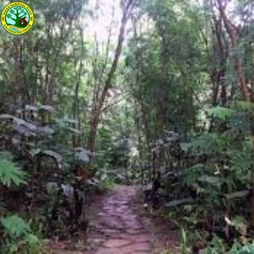 Taman Nasional