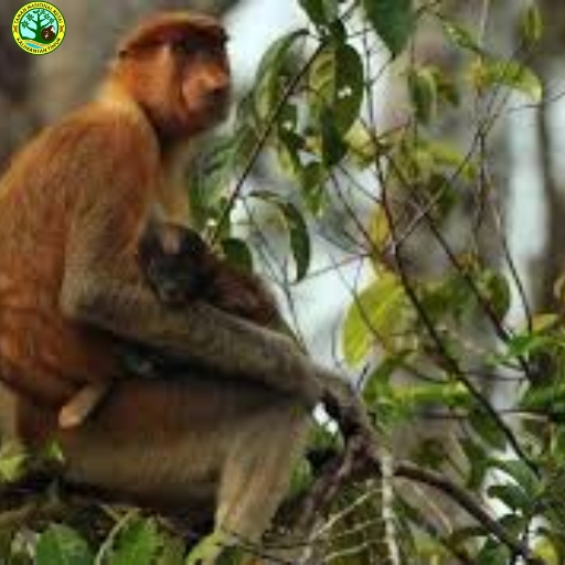 Taman Nasional