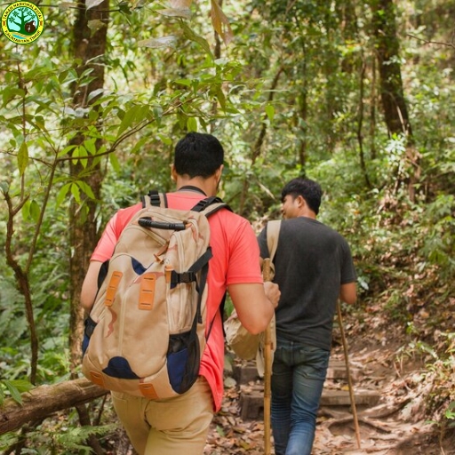 Taman Nasional