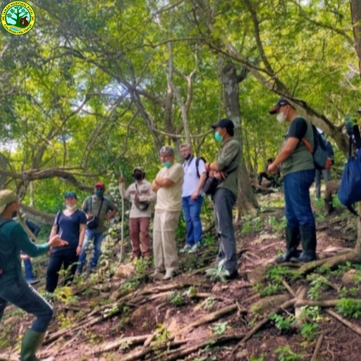 Taman Nasional