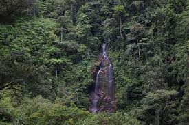 Taman Nasional