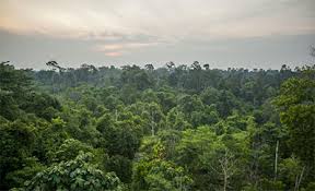 Taman Nasional