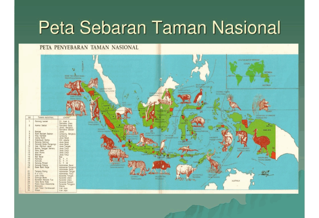 Taman Nasional