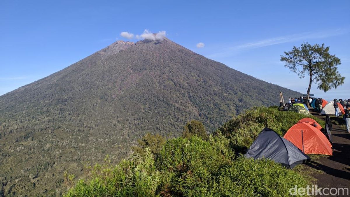 Taman Nasional