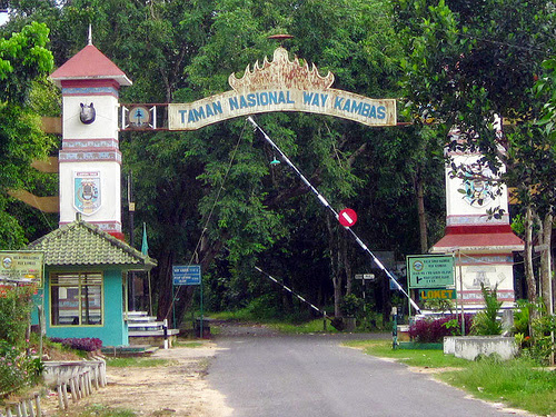 TAMAN NASIONAL WAY KAMBAS​